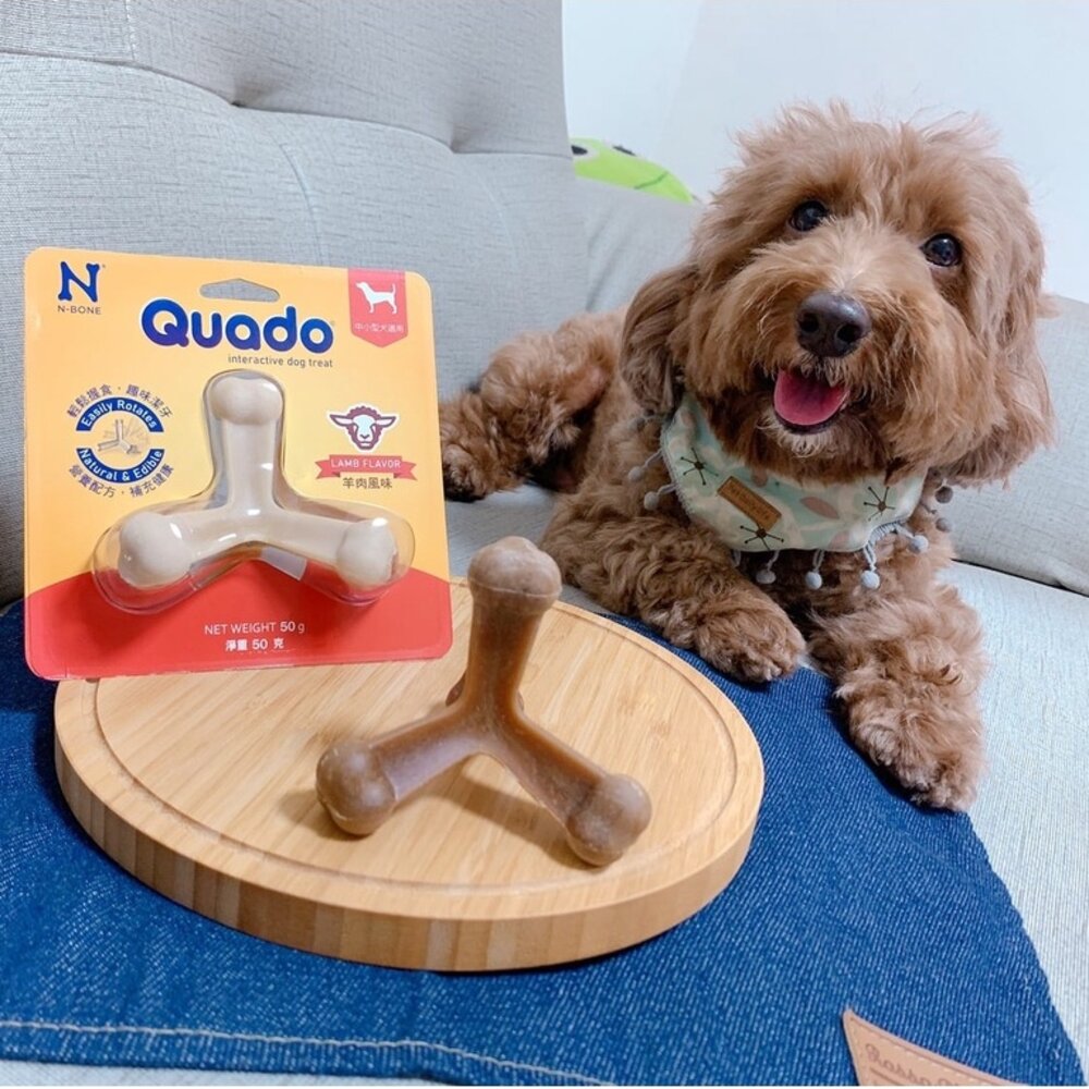 Quado Q樂多 四柱立體潔牙骨 犬用磨牙解憂神器 潔牙骨 狗零食毛掌櫃寵物店-圖片-1