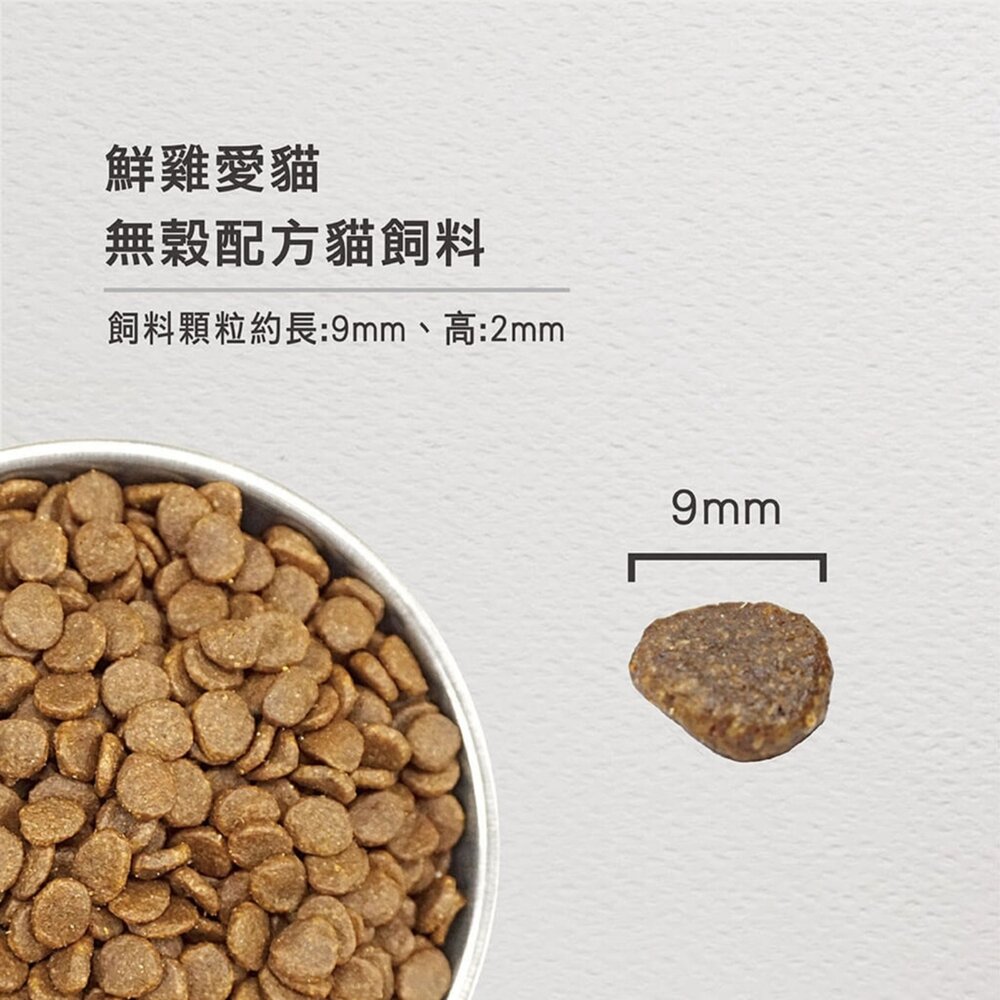 歐睿健 Orijen Cat 貓糧 渴望 六種鮮魚 室內貓 野牧鮮雞 貓飼料毛掌櫃寵物店-圖片-3