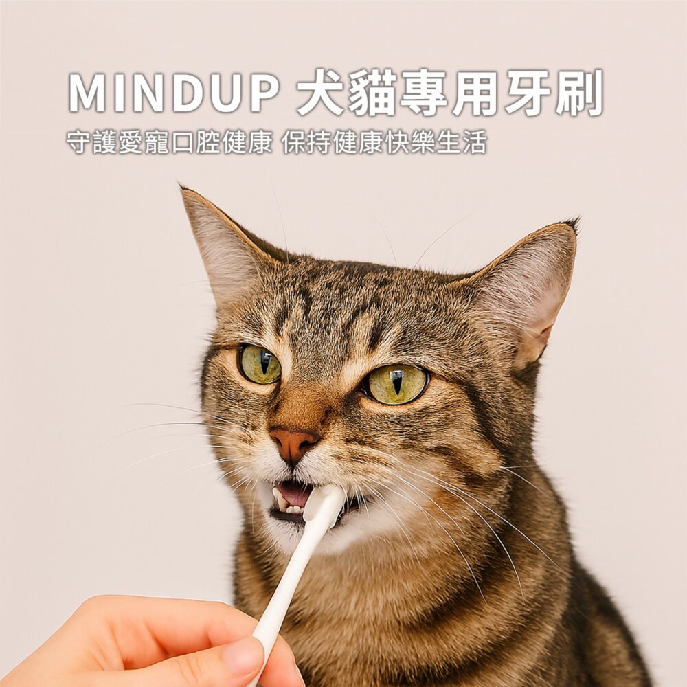 日本 MINDUP 犬貓專用牙刷 寵物牙刷 寵物牙膏 口腔護理 清潔用品 美容用品毛掌櫃寵物店-圖片-1