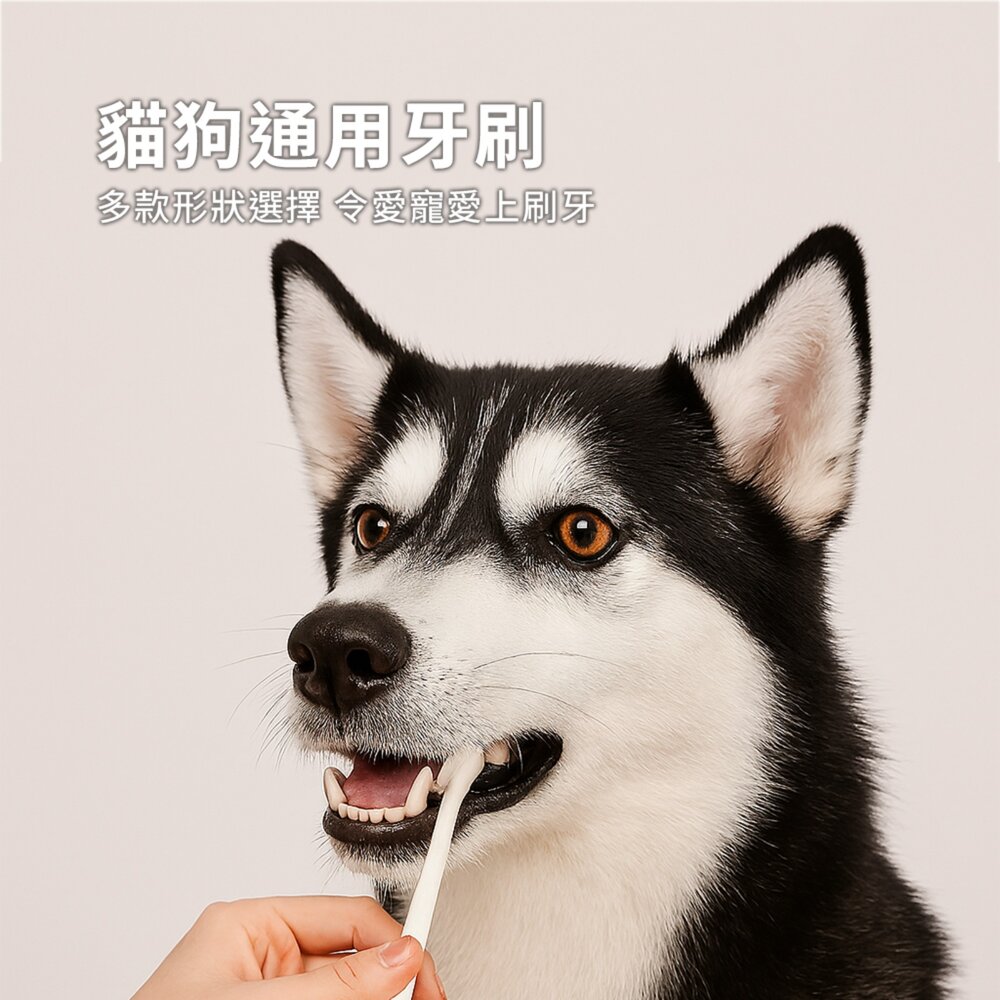 日本 MINDUP 犬貓專用牙刷 寵物牙刷 寵物牙膏 口腔護理 清潔用品 美容用品毛掌櫃寵物店-圖片-3