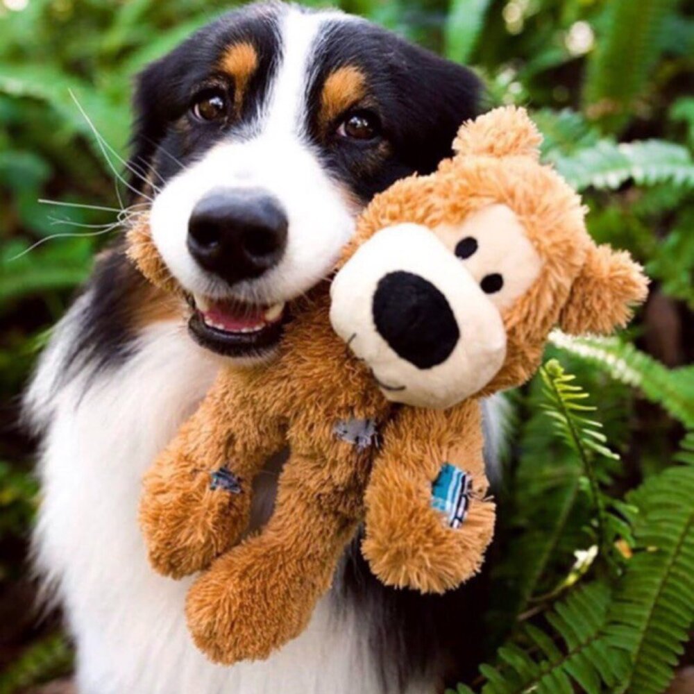 15459196360-美國 KONG 狗狗絨毛玩具 發聲玩具 結繩 耐咬拔河 繩結補丁熊 舞吧動物園 狗玩具毛掌櫃寵物店