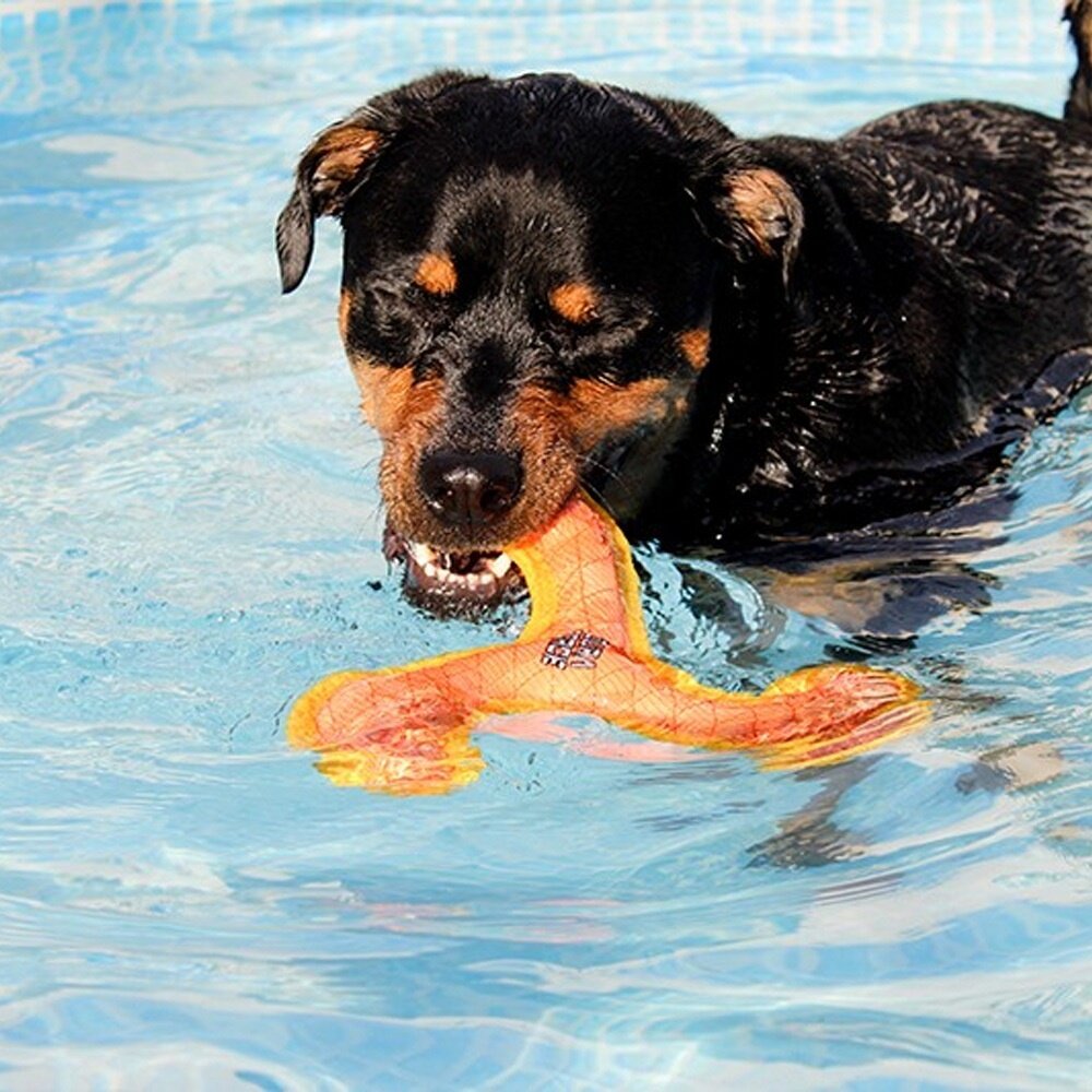 DURAFORCE 美國 超級丟拉玩具 狗玩具 防水耐咬玩具 狗玩具毛掌櫃寵物店-圖片-3