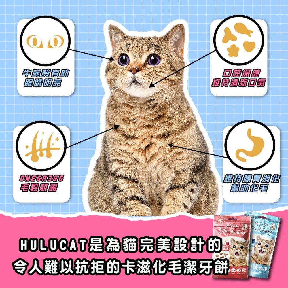 Hulucat 卡滋化毛潔牙餅 卡茲 貓脆餅 貓餅乾 貓點心 貓 貓零食毛掌櫃寵物店-圖片-10