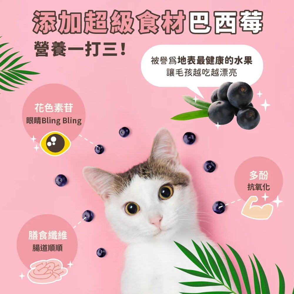 HeroMama 英雄媽 鮮肉主食罐 溯源鮮肉 海陸派對 貓主食罐 泥狀 貓罐頭毛掌櫃寵物店-圖片-4