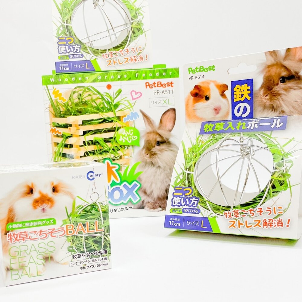 16971175825-Canary Petbest 牧草盒 牧草球 幸之井原木牧草盒 牧草 鼠兔  牧草架小動物毛掌櫃寵物店