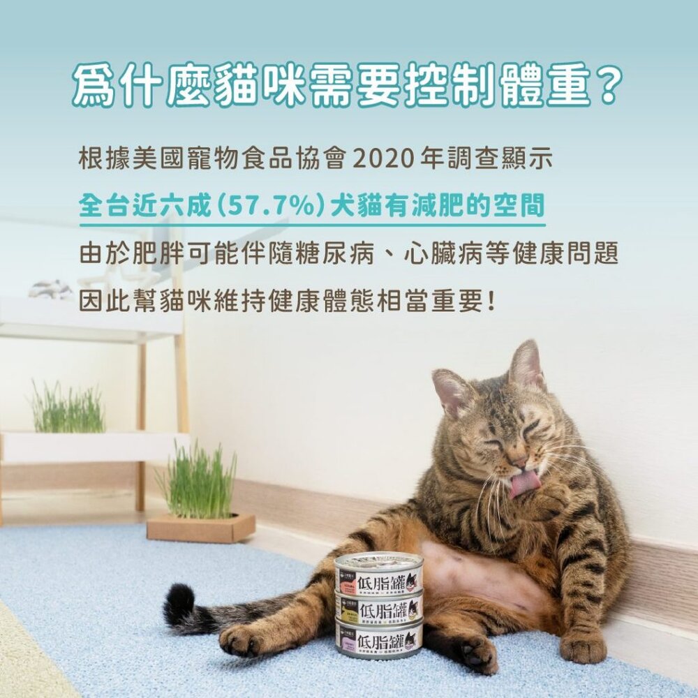 汪喵星球 貓咪低脂無膠主食罐 腎貓 低脂罐 肥胖貓 貓咪 主食罐 貓罐頭毛掌櫃寵物店-圖片-2
