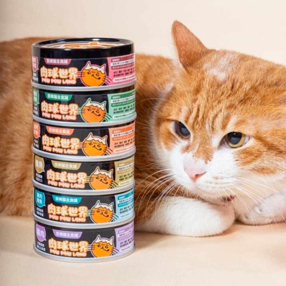 19078283488-肉球世界 PawPawLand 歪嘴貓主食罐 貓主食罐 貓咪 主食罐 泥狀 貓罐頭毛掌櫃寵物店