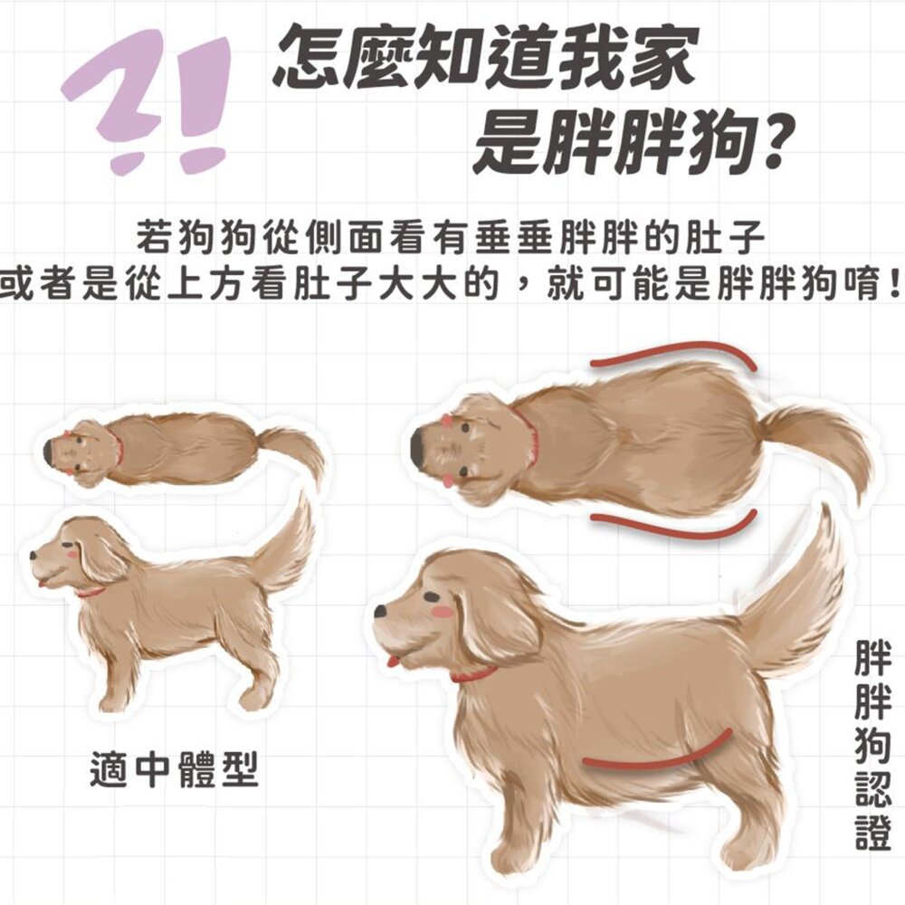 nu4PET 陪心寵糧 Super小黑輕脂犬罐 低脂罐 狗狗 狗罐頭毛掌櫃寵物店-圖片-4