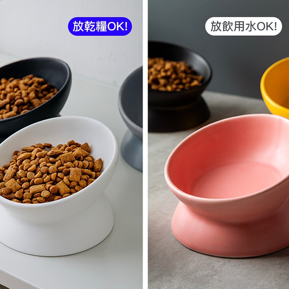 台灣現貨 寵物耐用陶瓷碗 BOWL 斜口陶瓷碗 斜口碗 寵物護頸碗 狗碗 貓碗 貓咪護頸碗 寵物斜口碗毛掌櫃寵物店-圖片-2