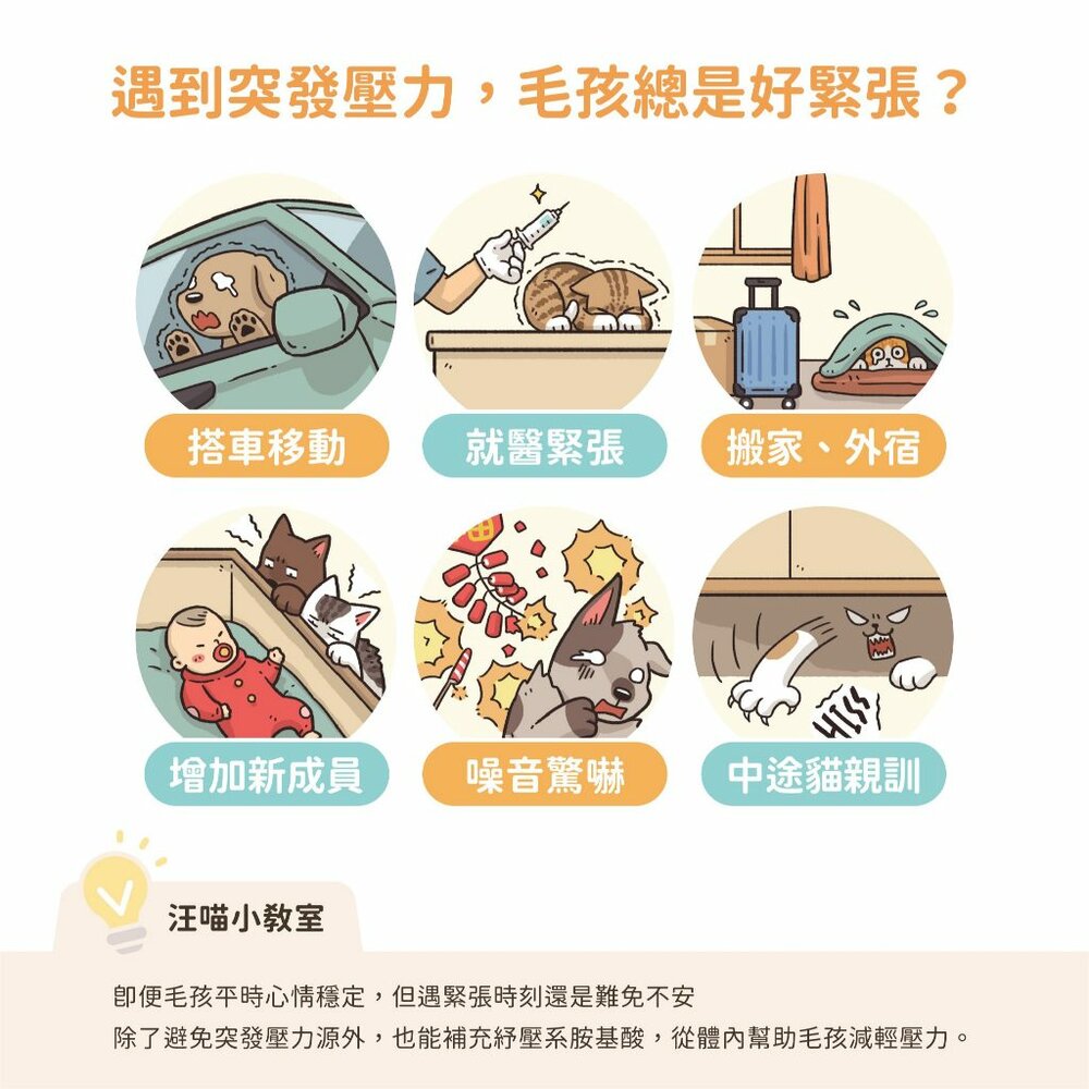 汪喵星球 紓壓胺基酸 情緒放鬆 情緒好放鬆 舒壓 貓咪費洛蒙 情緒 貓薄荷 木天蓼 貓 狗 寵物 保健品毛掌櫃寵物店-圖片-2