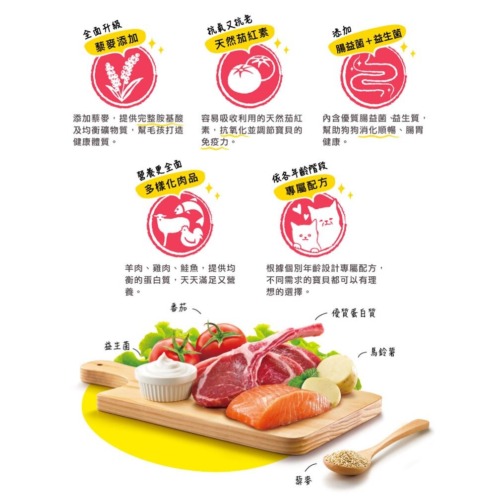優格 優格貓飼料 貓咪飼料 幼貓 成貓 貓飼料 優格無穀貓飼料 優格貓 優格經典貓飼料 貓糧毛掌櫃寵物店-圖片-2
