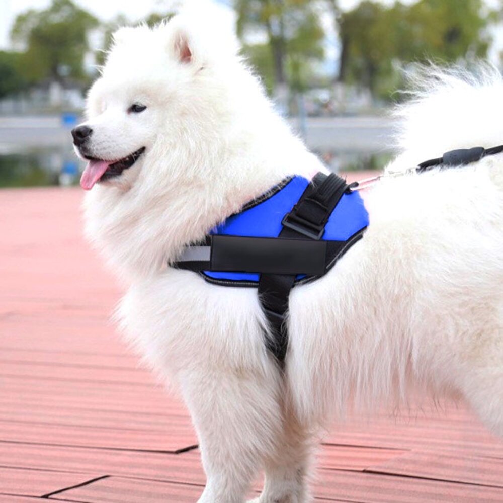 20890795857-GOOUT 寵物胸背帶 胸背 牽繩 防暴衝 外出用品毛掌櫃寵物店