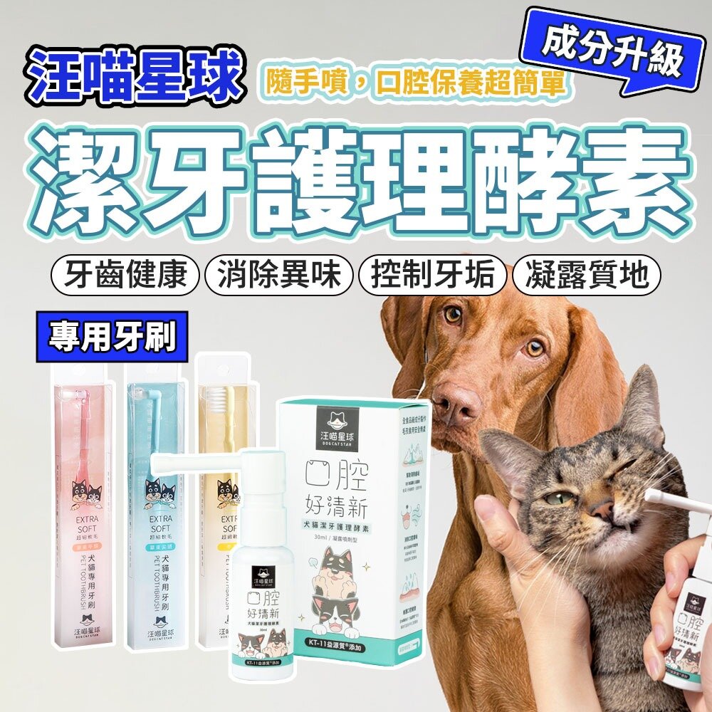 21122288930-汪喵星球 犬貓專用牙刷 毛孩口齒清潔必備 潔牙酵素 牙膏 牙刷 刷牙 寵物 牙齒 口腔毛掌櫃寵物店