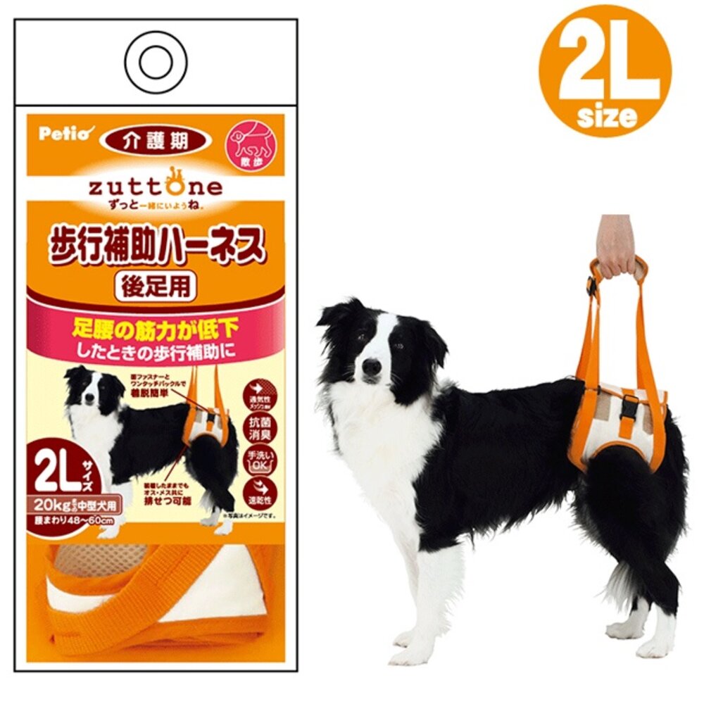 21579698058-本 Petio 派地奧 高齡犬介護 後腿輔助帶 步行輔助帶 狗狗輔助帶 狗狗復健帶毛掌櫃寵物店