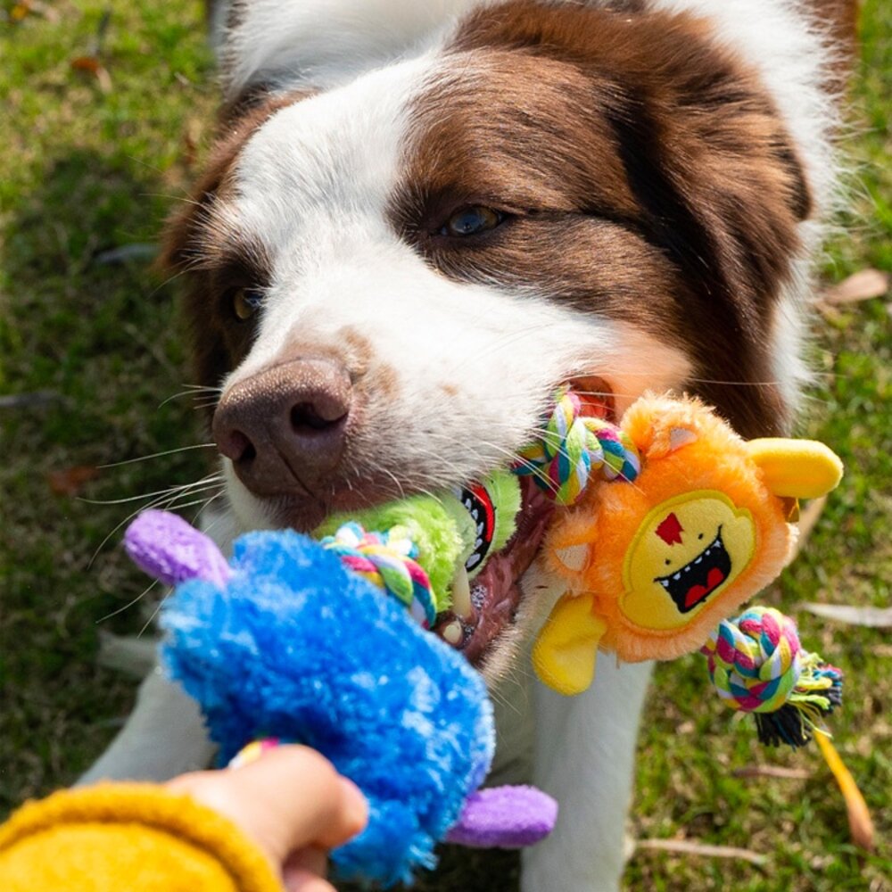 小怪獸拉扯玩具 狗狗玩具 結繩 耐咬玩具毛掌櫃寵物店-圖片-3
