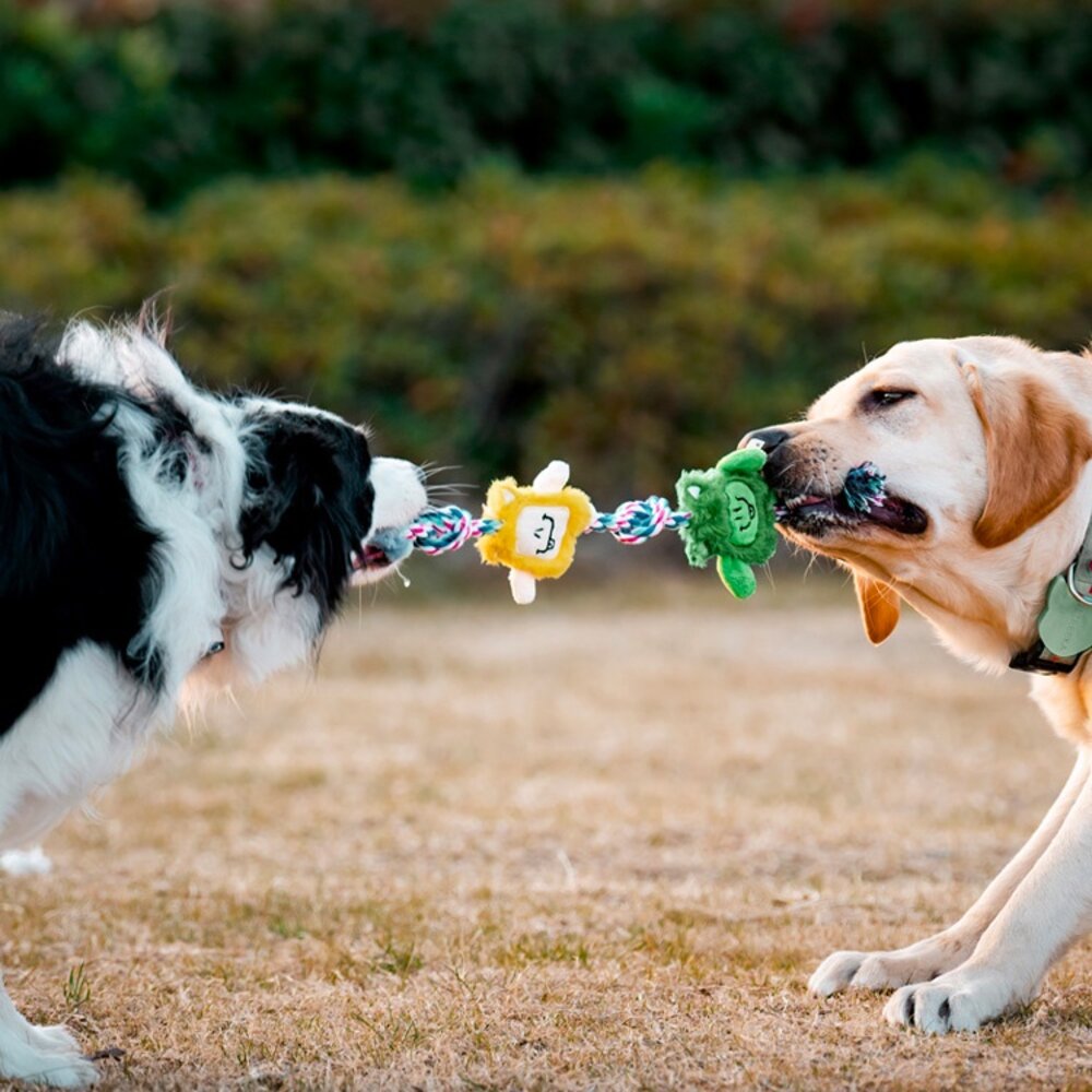 小怪獸拉扯玩具 狗狗玩具 結繩 耐咬玩具毛掌櫃寵物店-圖片-4