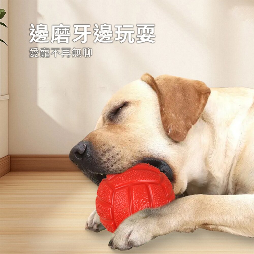 GOPLAY 發聲玩具球 寵物球 啾啾球 玩具 狗 貓毛掌櫃寵物店-圖片-1