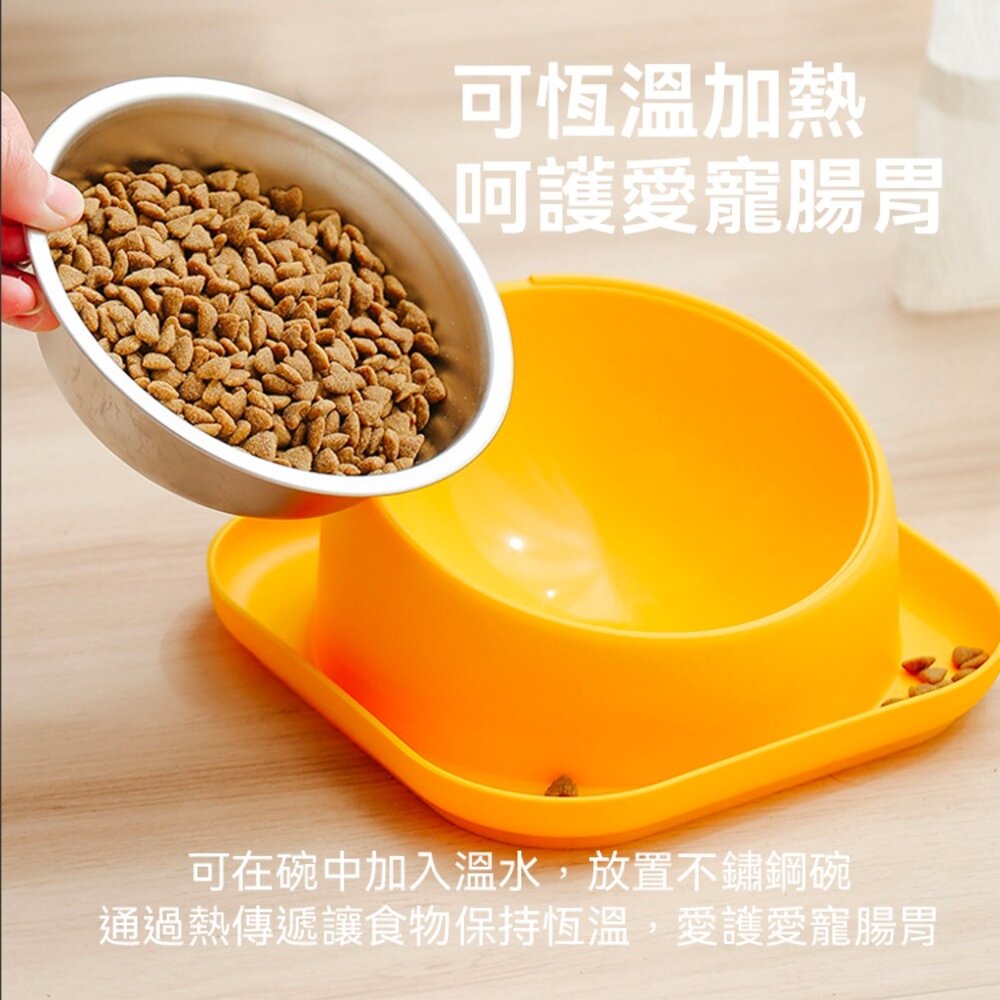 PETBOWL 斜口防蟻單盆 防蟻碗 防翻碗 不銹鋼寵物碗 碗 貓碗 狗碗 不鏽鋼碗 寵物碗毛掌櫃寵物店-圖片-5