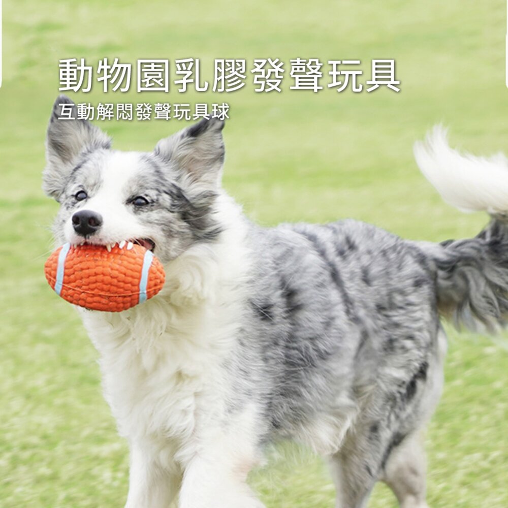 BALL乳膠啾啾球 寵物球 玩具球 啾啾球 籃球 橄欖球 排球 網球 發聲球 狗玩具毛掌櫃寵物店-圖片-1