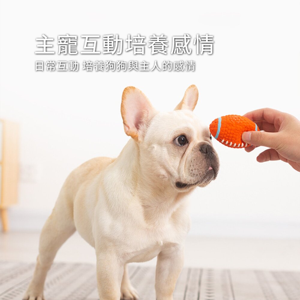 BALL乳膠啾啾球 寵物球 玩具球 啾啾球 籃球 橄欖球 排球 網球 發聲球 狗玩具毛掌櫃寵物店-圖片-3