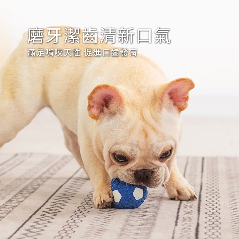 BALL乳膠啾啾球 寵物球 玩具球 啾啾球 籃球 橄欖球 排球 網球 發聲球 狗玩具毛掌櫃寵物店-圖片-4