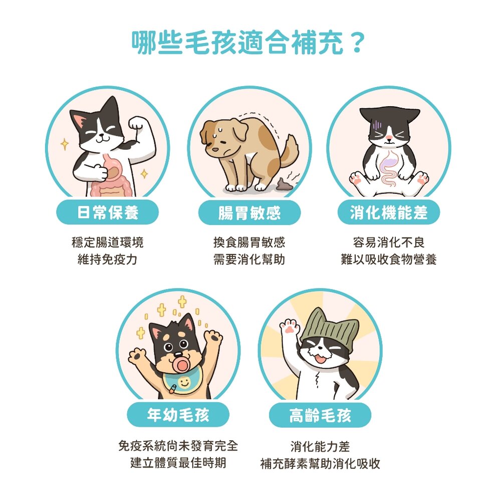 汪喵星球 單條益生菌 益生菌全品項 腸胃益生菌 皮膚益生菌 益生菌 腸胃 保健品毛掌櫃寵物店-圖片-4
