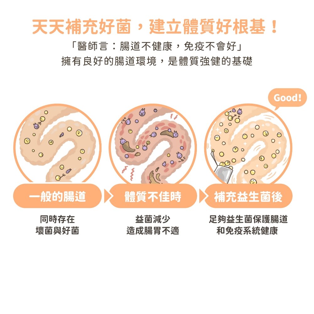 汪喵星球 單條益生菌 益生菌 軟便 腸胃益生菌 皮膚益生菌 益生菌 腸胃 保健品毛掌櫃寵物店-圖片-5