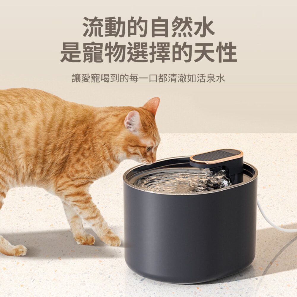PETWATER 寵物智能飲水器 自動飲水器 碗 水碗 寵物用品 寵物飲水機 自動斷電 貓咪飲水機 過濾飲水器 USB供-圖片-2