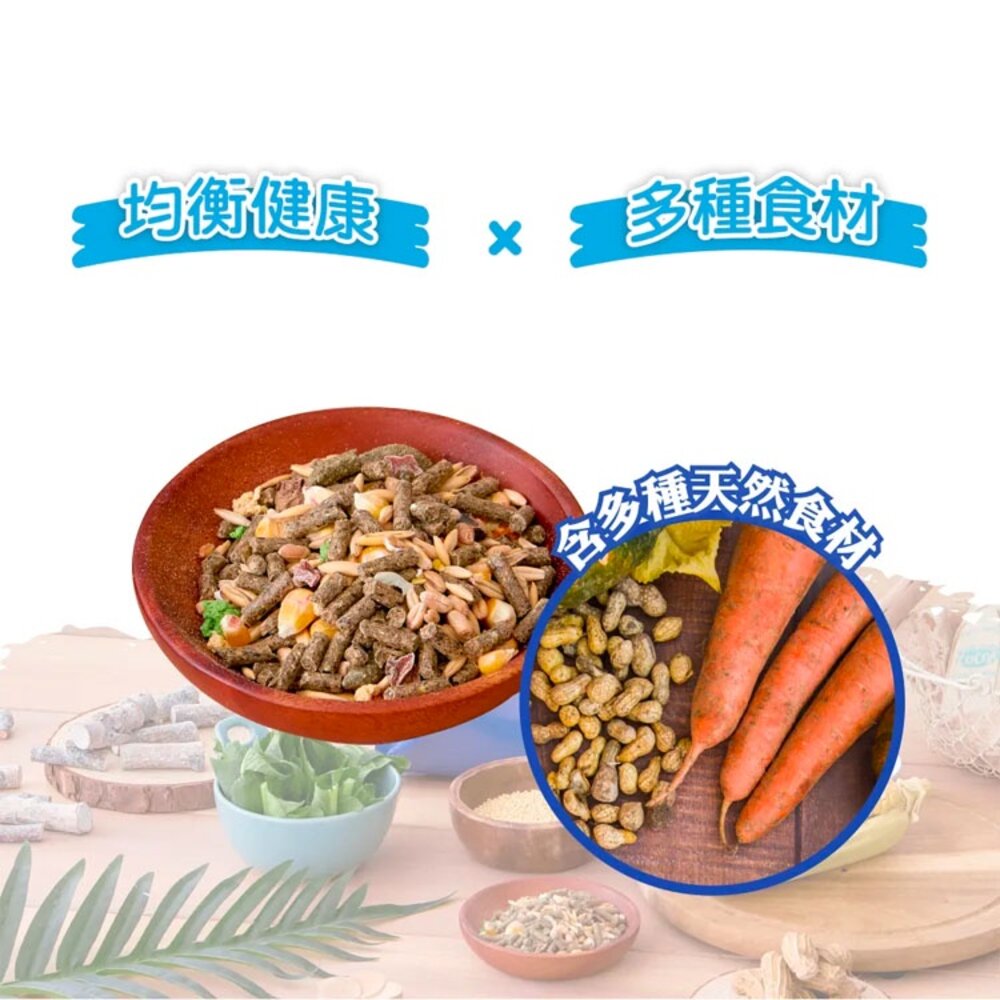 Armonto 阿曼特 荷蘭特級機能兔子主食 兔飼料 成兔飼料 成兔糧 兔子飼料 兔主糧 兔料毛掌櫃寵物店-圖片-4