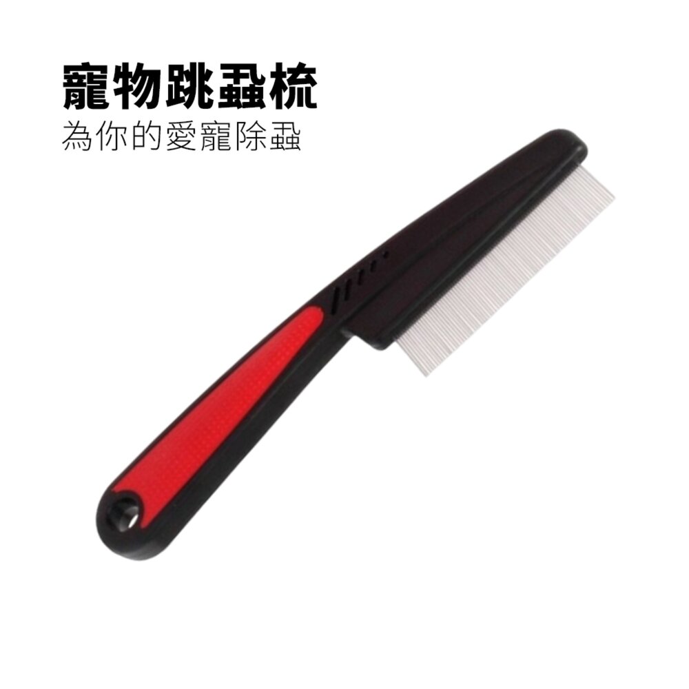 Remove 長柄跳蚤梳 蚤梳 寵物毛髮美容 跳蚤 脫落刷 不銹鋼 貓狗都可以用毛掌櫃寵物店-圖片-1