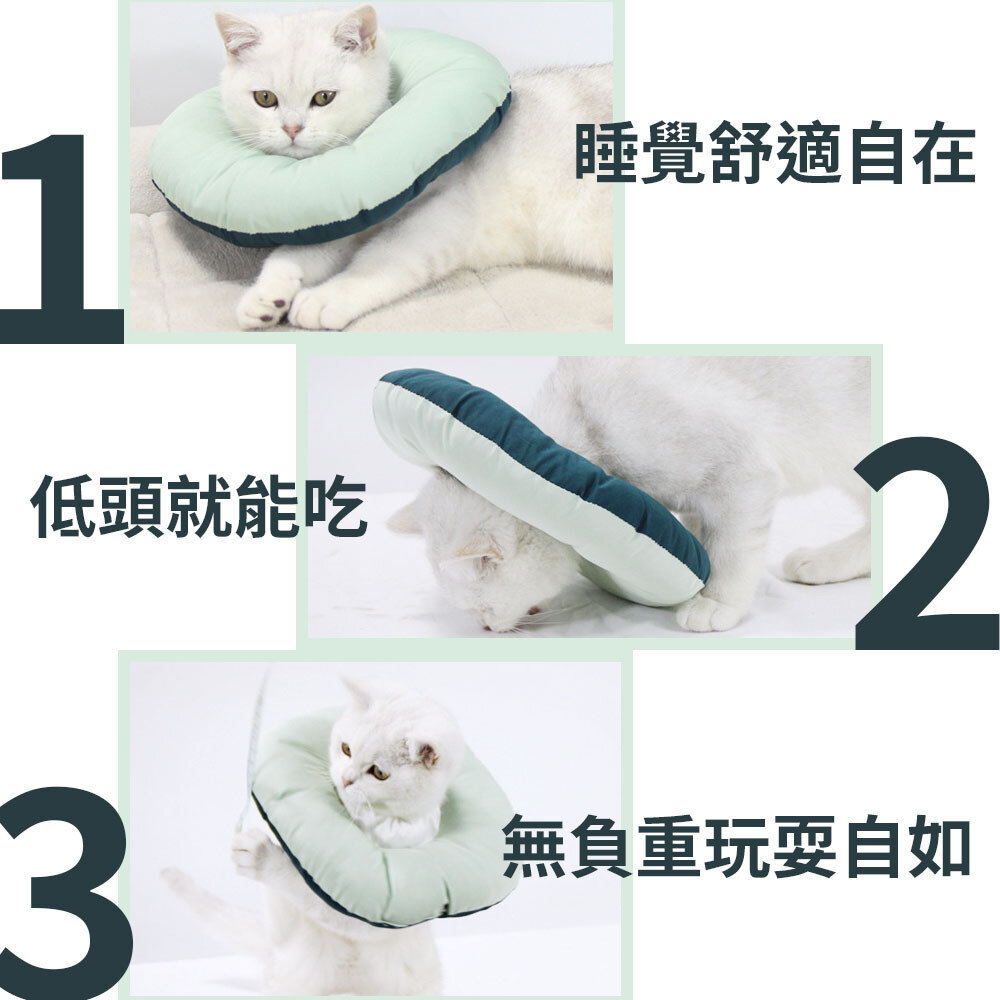 術後頭套 寵物頭套 狗狗頭套 伊莉莎白圈 防舔頭套 防舔圈 貓頭套 狗頭套 寵物防舔頭套 羞恥圈毛掌櫃寵物店-圖片-2