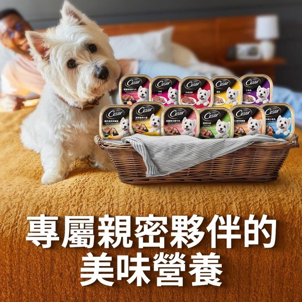 西莎 精緻風味餐盒 西莎狗餐盒 狗餐盒 狗罐 狗罐頭 寵物 寵物鮮食毛掌櫃寵物店-圖片-1