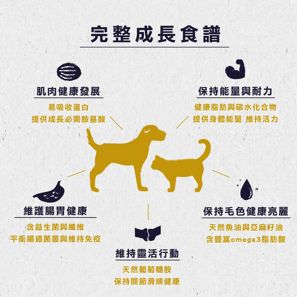 芮格爾 REGAL 貓飼料 天然貓糧 幼貓 成貓 絕育貓 體重控制 高齡貓 貓飼料毛掌櫃寵物店-圖片-5