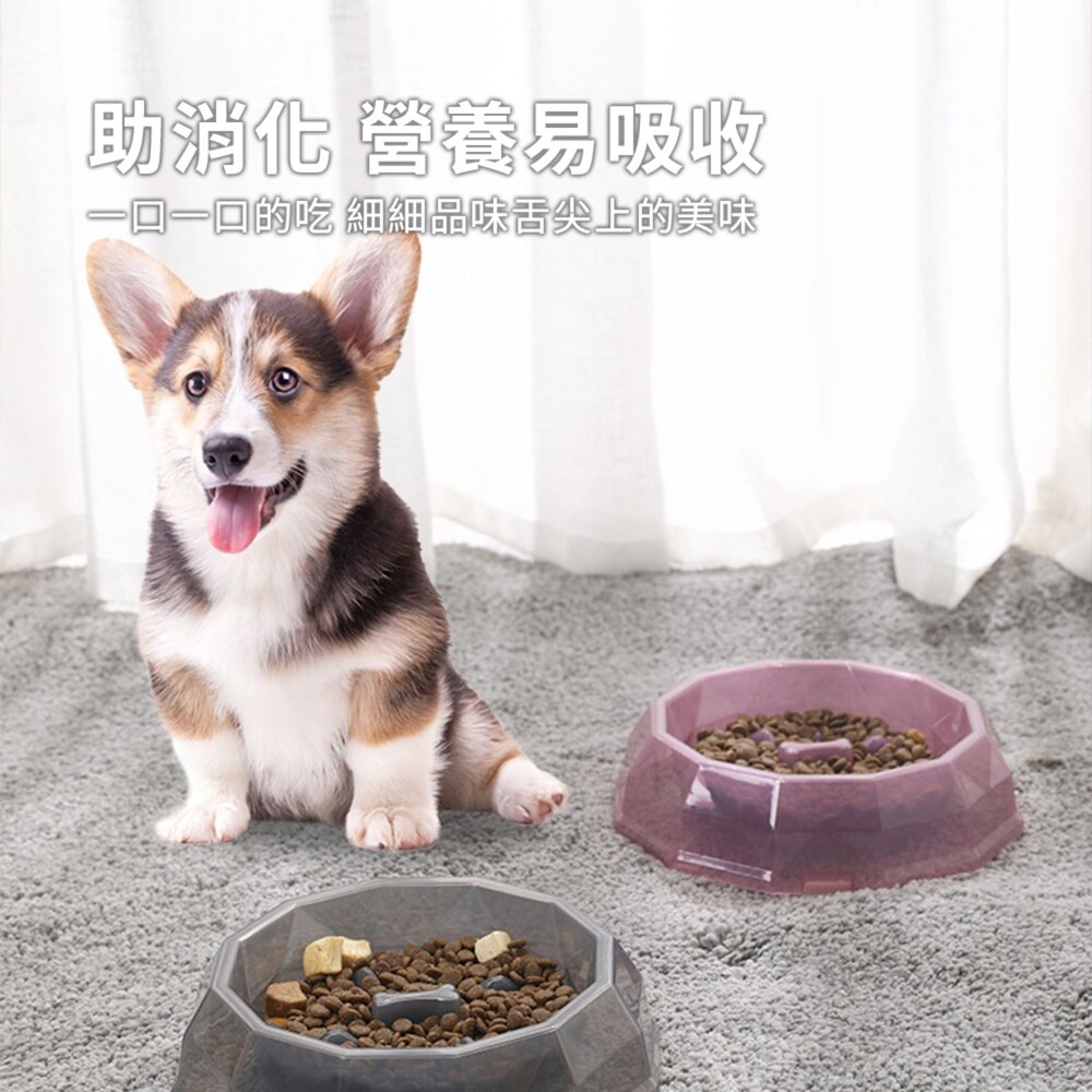 寶石慢食碗 寵物慢食碗 寵物碗 狗碗 防噎碗 寵物減肥碗 狗狗碗毛掌櫃寵物店-圖片-4