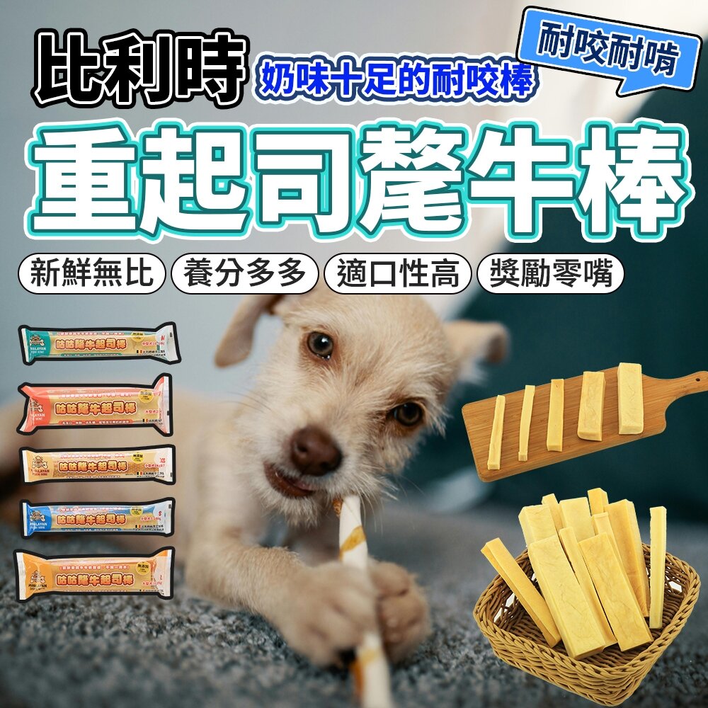 24833999553-比利時 氂牛起司棒 氂牛起司泡芙 氂牛棒 起司棒 狗零食 狗潔牙零食 耐咬零食毛掌櫃寵物店