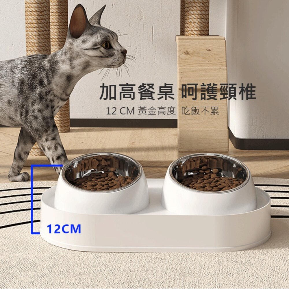 不鏽鋼增高雙碗 寵物陶瓷碗 增高碗 防蟻碗 防溢碗 不銹鋼 防打翻 防溢食 水碗 寵物碗 狗碗 貓咪碗毛掌櫃寵物店-圖片-2
