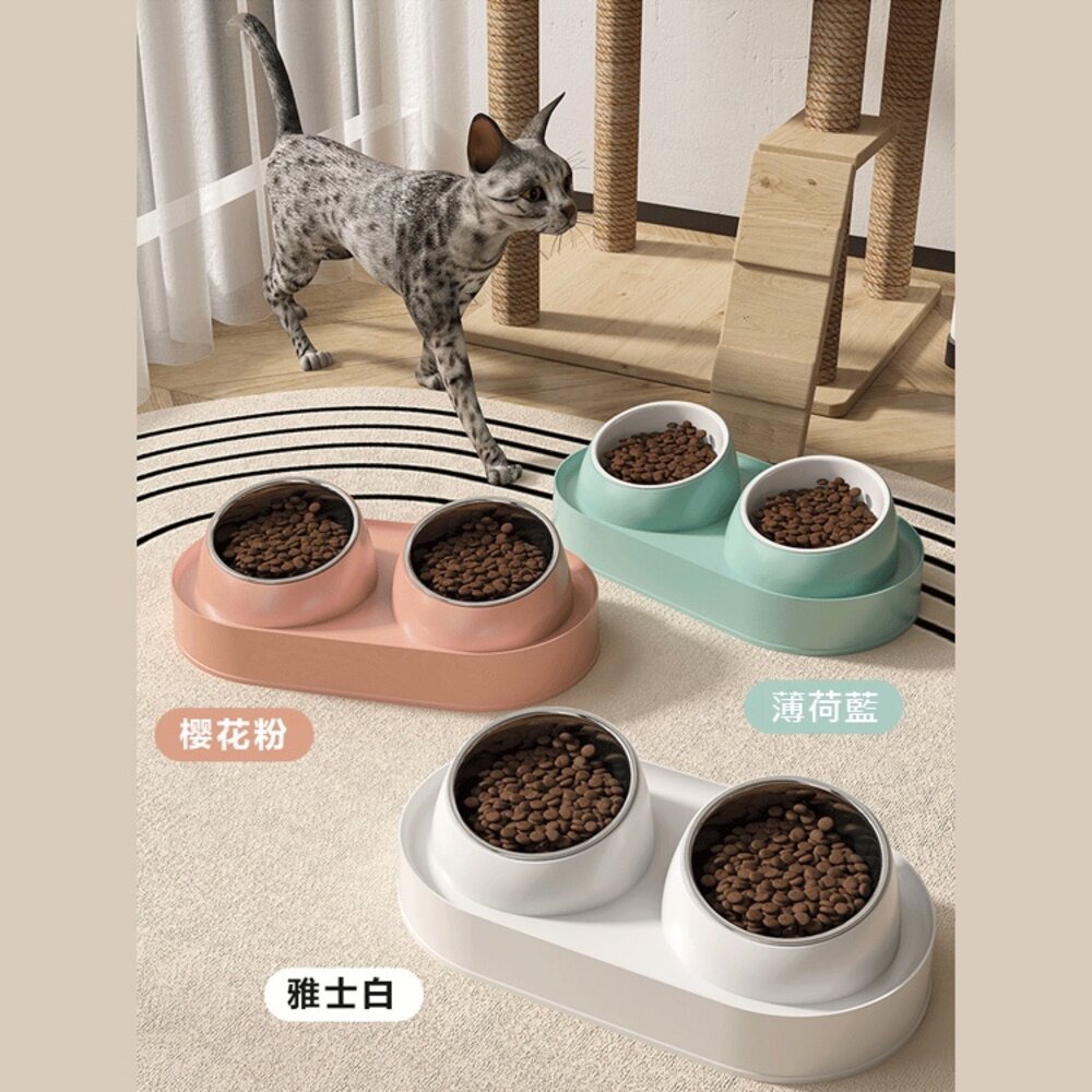 不鏽鋼增高雙碗 寵物陶瓷碗 增高碗 防蟻碗 防溢碗 不銹鋼 防打翻 防溢食 水碗 寵物碗 狗碗 貓咪碗毛掌櫃寵物店-圖片-4