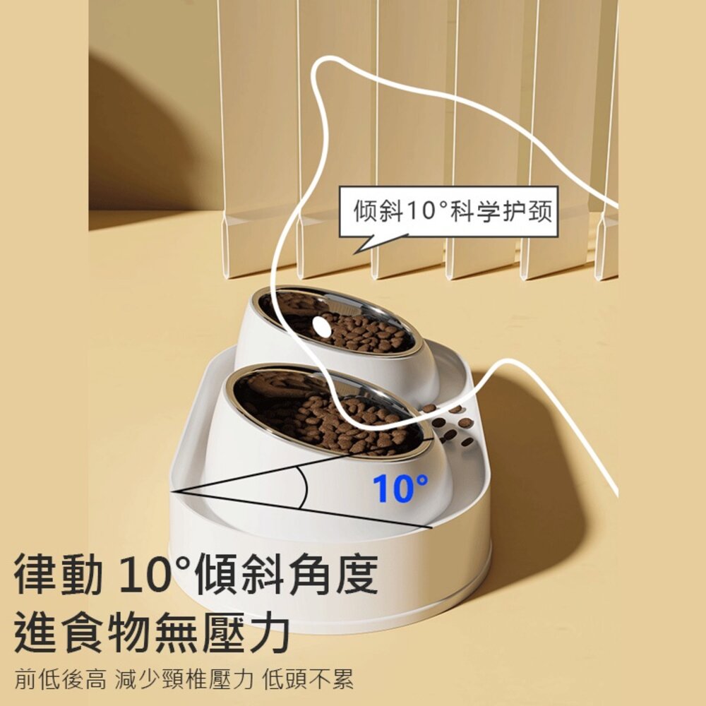 不鏽鋼增高雙碗 寵物陶瓷碗 增高碗 防蟻碗 防溢碗 不銹鋼 防打翻 防溢食 水碗 寵物碗 狗碗 貓咪碗毛掌櫃寵物店-圖片-6