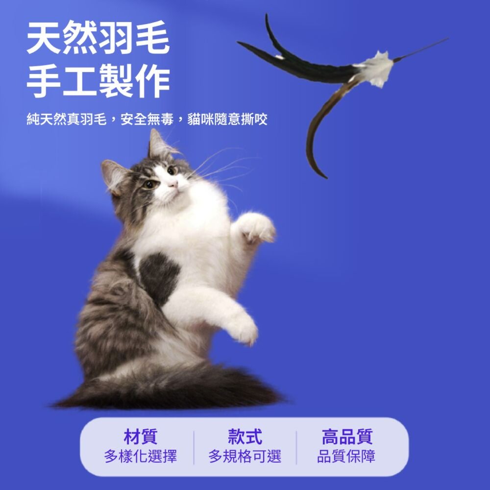 NeeBoo 仿真鳥 逗貓棒替換頭 仿真鳥 昆蟲 替換頭 羽毛逗貓棒 小鳥逗貓棒 幼貓玩具 貓玩具 逗貓棒毛掌櫃寵物店-圖片-1