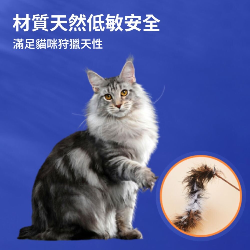 NeeBoo 仿真鳥 逗貓棒替換頭 仿真鳥 昆蟲 替換頭 羽毛逗貓棒 小鳥逗貓棒 幼貓玩具 貓玩具 逗貓棒毛掌櫃寵物店-圖片-2