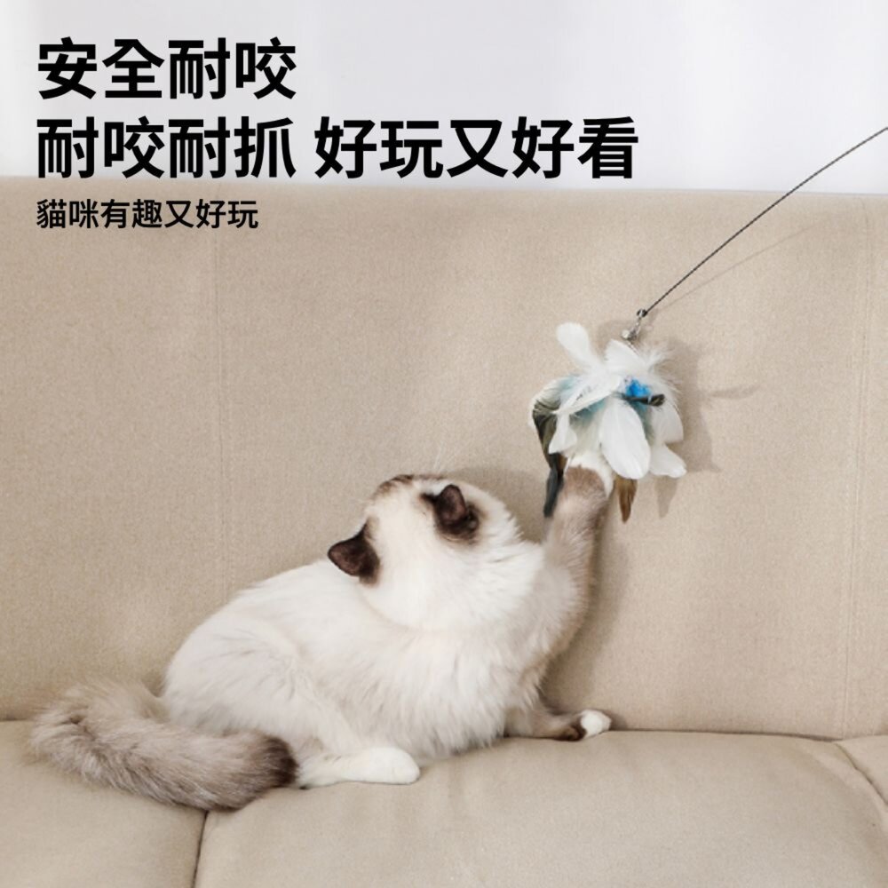 NeeBoo 仿真鳥 逗貓棒替換頭 仿真鳥 昆蟲 替換頭 羽毛逗貓棒 小鳥逗貓棒 幼貓玩具 貓玩具 逗貓棒毛掌櫃寵物店-圖片-3