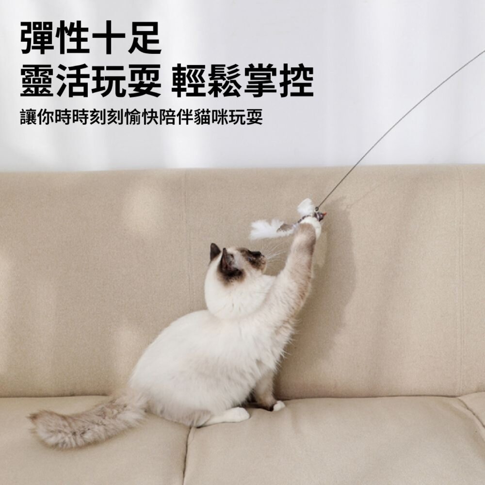 NeeBoo 仿真鳥 逗貓棒替換頭 仿真鳥 昆蟲 替換頭 羽毛逗貓棒 小鳥逗貓棒 幼貓玩具 貓玩具 逗貓棒毛掌櫃寵物店-圖片-5