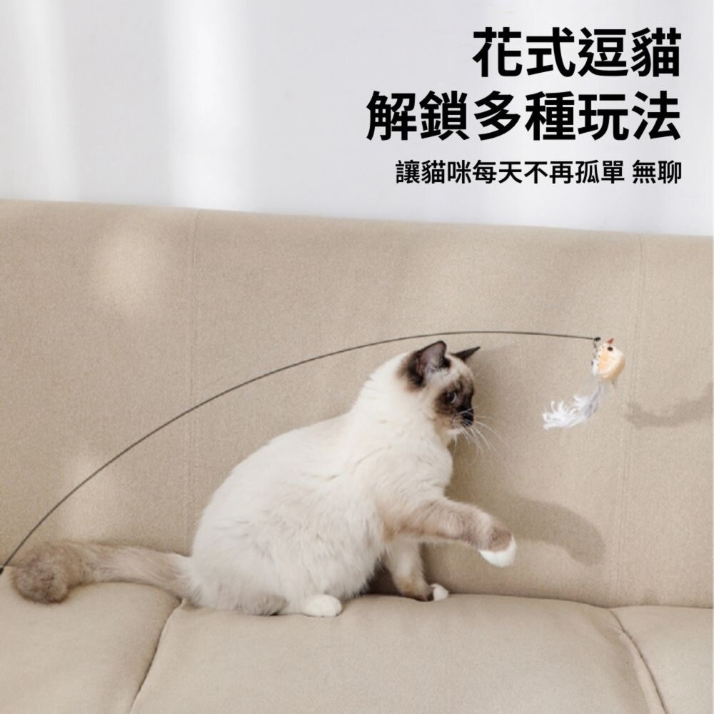 NeeBoo 仿真鳥 逗貓棒替換頭 仿真鳥 昆蟲 替換頭 羽毛逗貓棒 小鳥逗貓棒 幼貓玩具 貓玩具 逗貓棒毛掌櫃寵物店-圖片-6