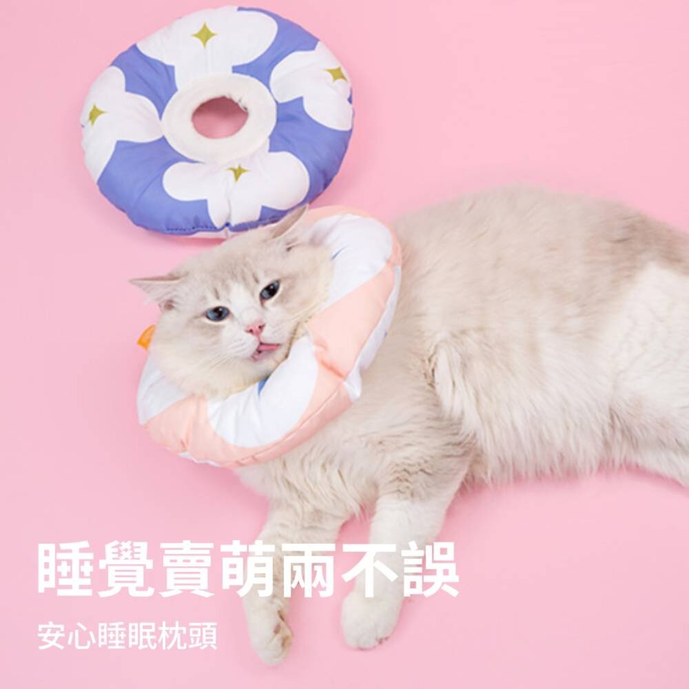 Miaoho 頭套 伊莉莎白 貓咪頭套 可調式頭套 寵物頭套 軟式頭套 防抓頭套 防水頭套 防舔圈毛掌櫃寵物店-圖片-3