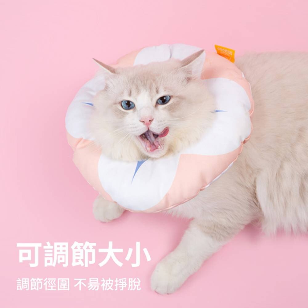 Miaoho 頭套 伊莉莎白 貓咪頭套 可調式頭套 寵物頭套 軟式頭套 防抓頭套 防水頭套 防舔圈毛掌櫃寵物店-圖片-4