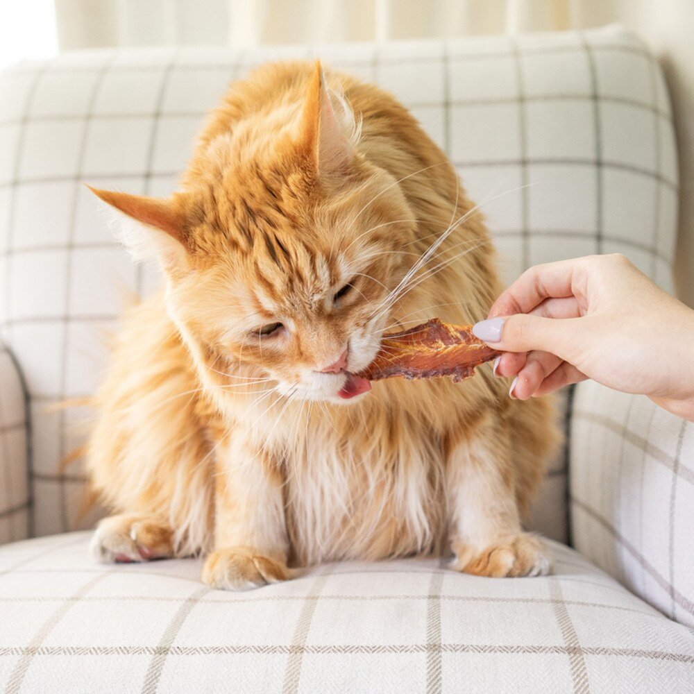 超躍 Hyperr 天然手作零食 雞胸肉 肉乾 寵物零食 寵物肉乾 狗零食 貓零食毛掌櫃寵物店-圖片-6