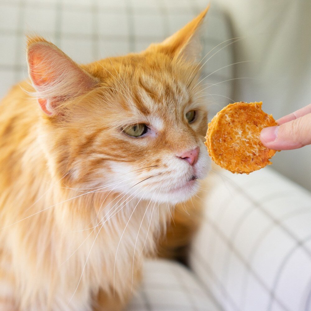 超躍 Hyperr 天然手作零食 雞胸肉 肉乾 寵物零食 寵物肉乾 狗零食 貓零食毛掌櫃寵物店-圖片-7