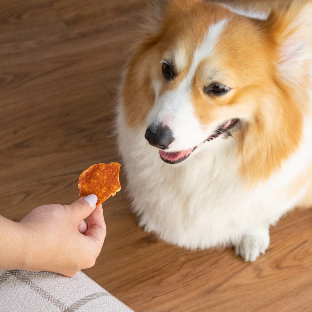 超躍 Hyperr 天然手作零食 雞胸肉 肉乾 寵物零食 寵物肉乾 狗零食 貓零食毛掌櫃寵物店-圖片-8