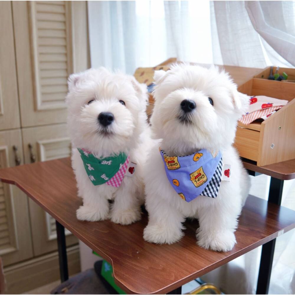 PUPPY BIBIS寵物圍巾 寵物口水巾 寵物防髒圍巾 寵物圍兜 貓狗圍巾 寵物外出口水巾毛掌櫃寵物店-圖片-7