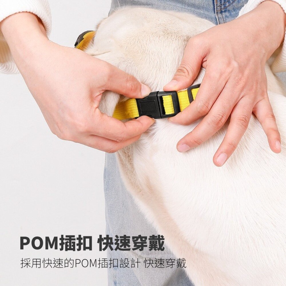 Petleha 寵物透氣嘴套 透氣嘴套 狗狗嘴罩 狗嘴套 可調節口罩 寵物口罩 寵物嘴套 網狀嘴套 狗狗嘴套毛掌櫃寵物店-圖片-3